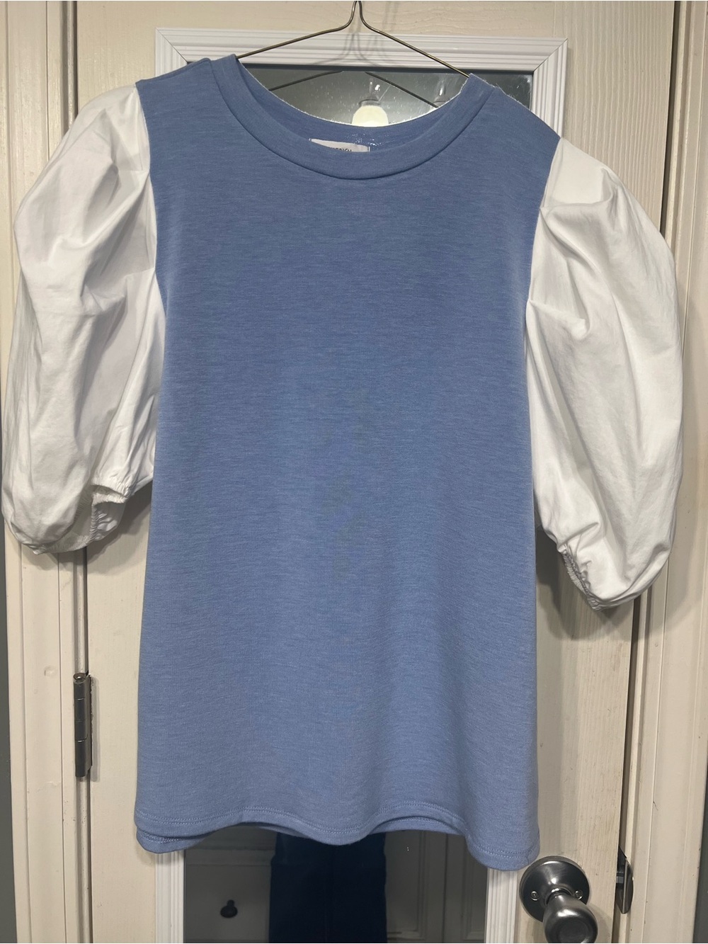 Puff Sleeve Top in Light Blue and White